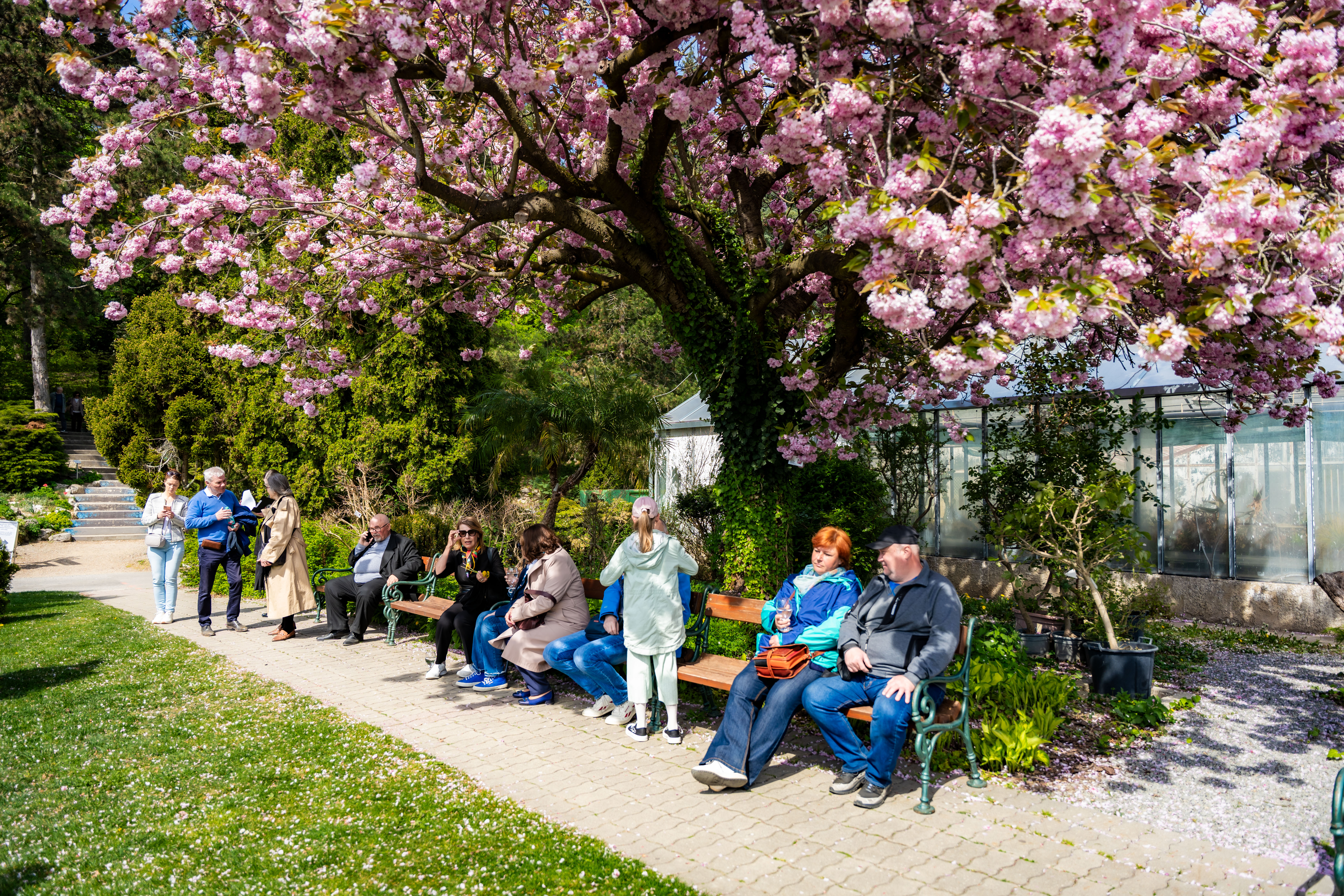 Slavnostne zasadenie stromu do Aleje vyznamnych osobnosti Botanickej zahrady UPJS-1-35
